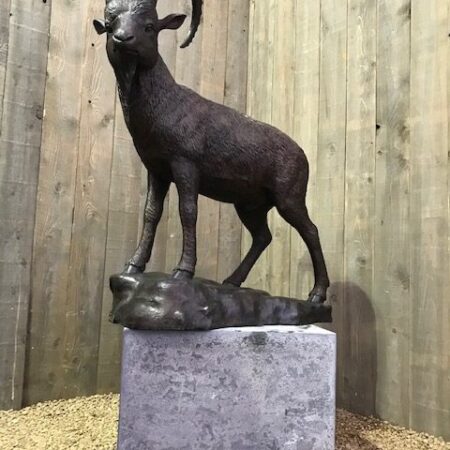 WI 54 Fine Cast Solid Bronze Ibex Mountain Goat Sculpture 8 | Avant Garden Bronzes
