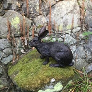 Bright Eyes Rabbit Sculpture Solid Bronze Statue 16 | Avant Garden Bronzes