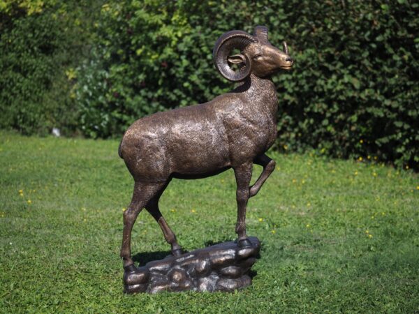 Big Horn Sheep Ram Solid Bronze Sculpture 1 | Avant Garden Bronzes