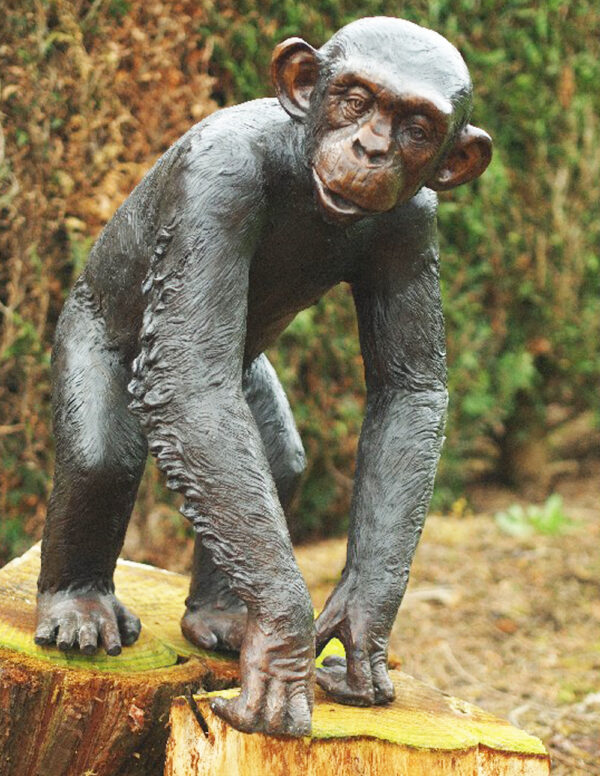 Bronze Sculpture Chimpanzee 77cm 1 | Avant Garden Bronzes