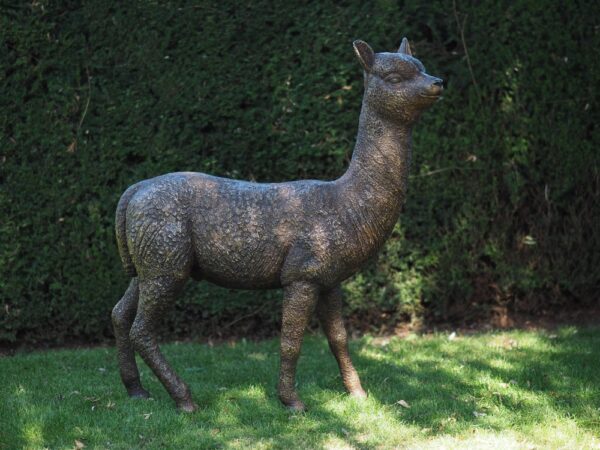 Alpaca Solid Bronze Sculpture 1 | Avant Garden Bronzes