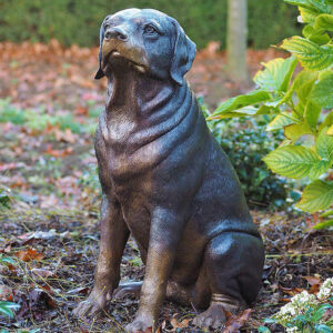DO 6 Solid Bronze Rottweiler Dog Sculpture 1 | Avant Garden