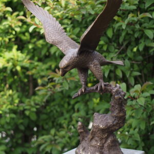 Bronze Bird Flying Eagle Wingspread Sculpture BI 4 1 | Avant Garden Bronzes