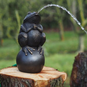 Solid Bronze Bull Frog Fountain Sculpture Water Feature 1 | Avant Garden