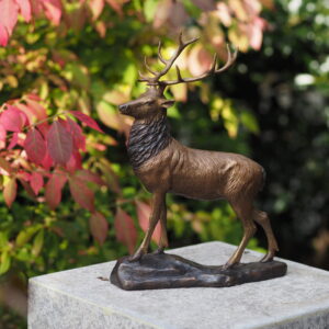 Solid Bronze Deer Stag 28cm Sculpture 1 | Avant Garden