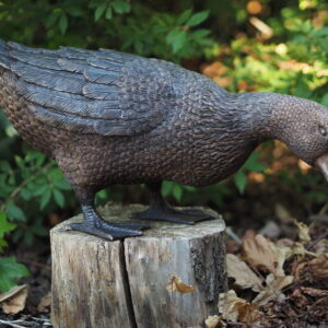 Solid Bronze Duck Feeding Sculpture 1 | Avant Garden Bronzes