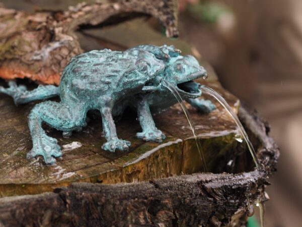 Frog Pair Solid Bronze Fountain Sculpture Water Feature FO 79 1 | Avant Garden Bronzes