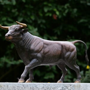Solid Bronze Prize Bull Sculpture 4 | Avant Garden