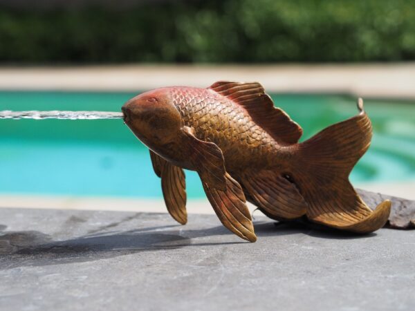 Solid Bronze Sculpture Gold Fish Fantail Fountain 1 | Avant Garden