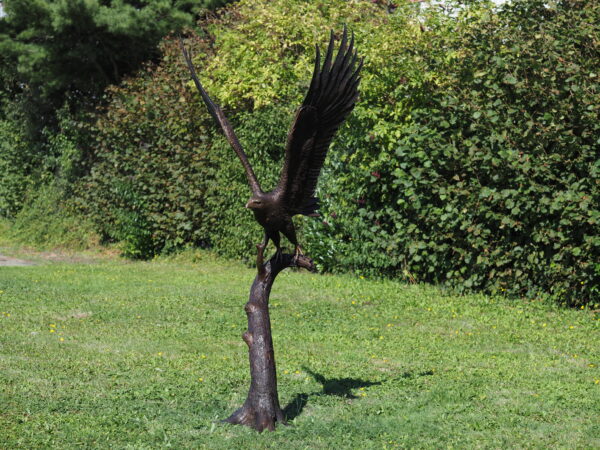 Bronze Bird Flight Eagle Life Size Wingspread Raptor Sculpture BI 92 1 | Avant Garden Bronzes