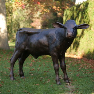 Solid Bronze Dairy Calf Sculpture 1 | Avant Garden