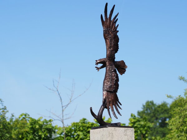 Eagle In Flight Solid Bronze Sculpture 1 | Avant Garden