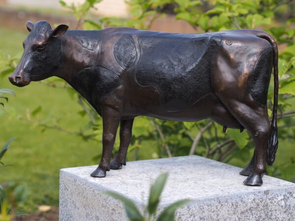 Solid Bronze Dairy Cow Sculpture 1 | Avant Garden