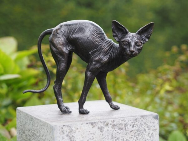 Sphynx Cat Arched Back Solid Bronze Sculpture CA 21 1 | Avant Garden