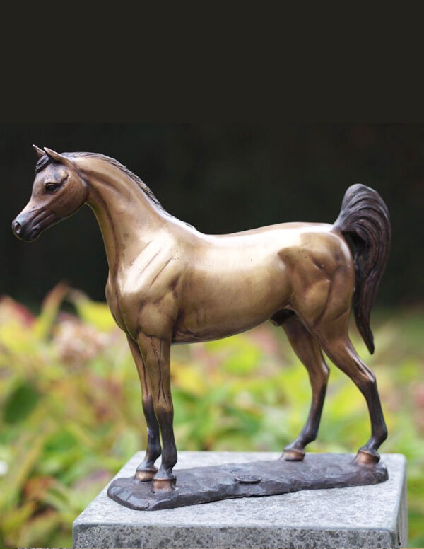 HO 1 Bronze Sculpture Arabian Horse 1 | Avant Garden Bronzes