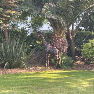 Giraffe Mother Bronze Sculpture 2m African Wild Animal 8 | Avant Garden Bronzes