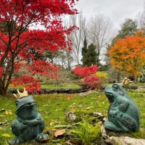 Bronze Frog King Fountain Sculpture Water Feature FO 80 4 | Avant Garden Bronzes