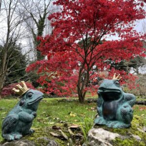 Bronze Frog King Fountain Sculpture Water Feature FO 80 2 | Avant Garden Bronzes