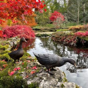 Solid Bronze Duck & Goose Sculptures 4 | Avant Garden Bronzes