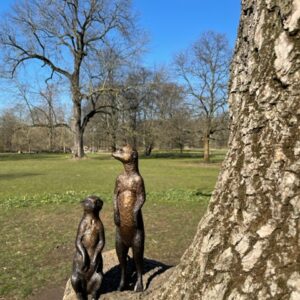 Meerkats Sitting Ans Standing Bronze Sculpture 3 | Avant Garden Bronzes