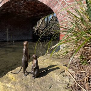 Meerkats Sitting And Standing Bronze Sculpture 4 | Avant Garden Bronzes