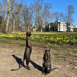 Meerkats Sitting And Standing Bronze Sculpture 10 | Avant Garden Bronzes
