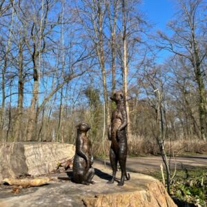 Meerkats Sitting And Standing Bronze Sculpture 9 | Avant Garden Bronzes