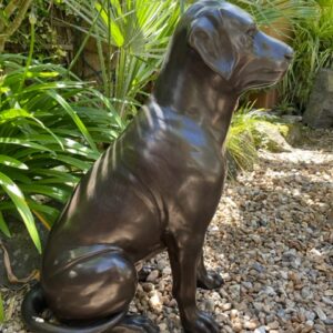 Labrador Dog Solid Bronze Sculpture 5 | Avant Garden Bronzes