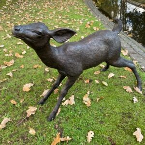Fawn Deer Splayed Legs Bronze Sculpture 2 | Avant Garden Bronzes