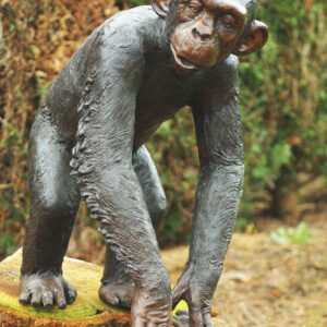 Bronze Sculpture Chimpanzee 77cm 1 | Avant Garden Bronzes
