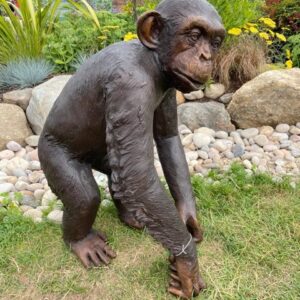 Bronze Sculpture Chimpanzee 77cm 3 | Avant Garden Bronzes