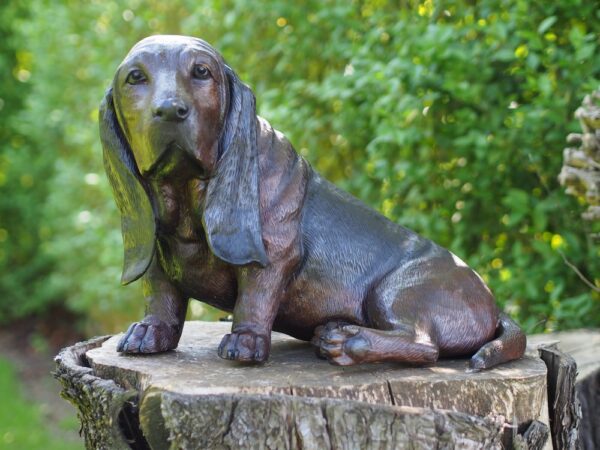 DO 22 Solid Bronze Basset Hound Sculpture 1 | Avant Garden Bronzes