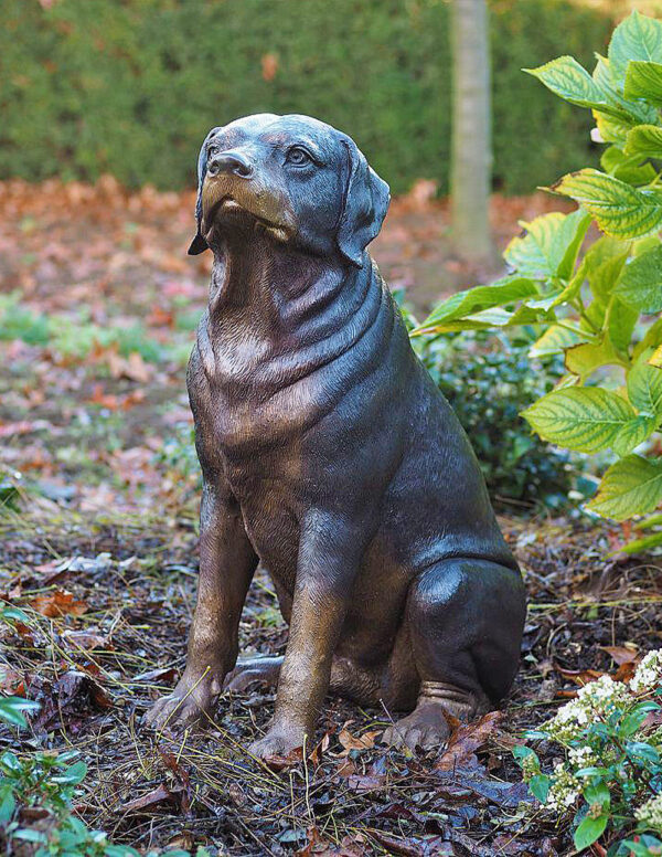 DO 6 Solid Bronze Rottweiler Dog Sculpture 1 | Avant Garden