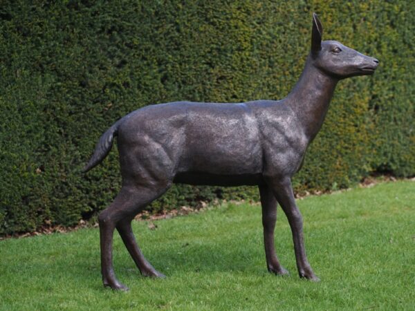 Doe Deer Solid Bronze Sculpture WI 85 1 | Avant Garden Bronzes
