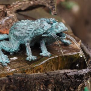 Frog Pair Solid Bronze Fountain Sculpture Water Feature FO 79 1 | Avant Garden Bronzes
