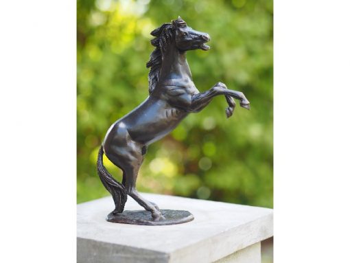 Equestrian Bronze Sculpture Horse Rearing 24cm HO 20 1 | Avant Garden Bronzes
