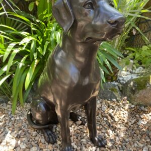 Labrador Dog Solid Bronze Sculpture 6 | Avant Garden Bronzes