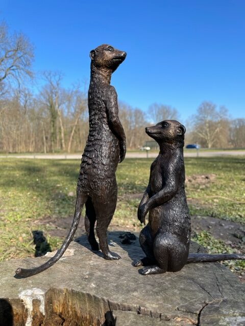 Meerkats Sitting And Standing Bronze Sculptures