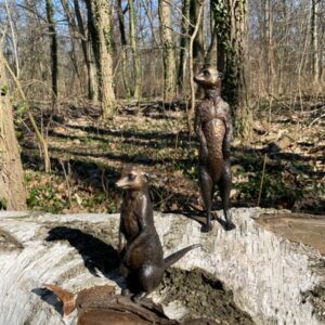 Meerkats Sitting And Standing Bronze Sculpture 5 | Avant Garden Bronzes