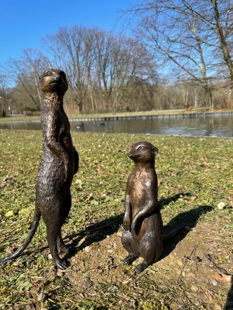 Meerkats Sitting And Standing Bronze Sculpture 2 | Avant Garden Bronzes
