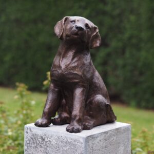 Golden Retriever Puppy Dog 36cm Bronze Sculpture DO 17 1 | Avant Garden Bronzes