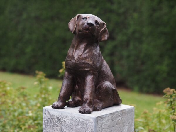 Puppy Dog Ornament Bronze Sculpture DO 17 1 | Avant Garden
