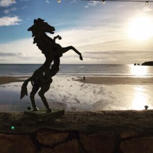 Rearing Horse Pinto Bronze Sculpture Verdigris 65cm HO 31