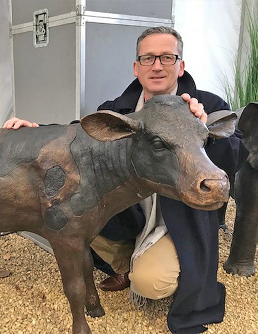 Bronze dairy calf farmyard young cow sculpture displayed on lawn 3
