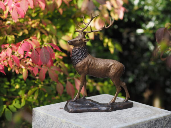 Solid Bronze Deer Stag 28cm Sculpture 1 | Avant Garden