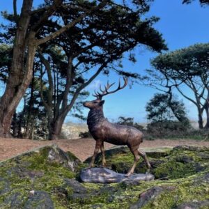 Solid Bronze Deer Stag 28cm Sculpture 2 | Avant Garden