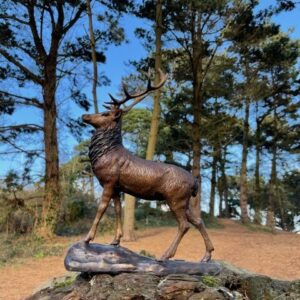 Solid Bronze Deer Stag 28cm Sculpture 4 | Avant Garden