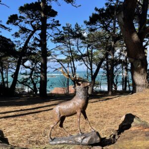 Solid Bronze Deer Stag 28cm Sculpture 5 | Avant Garden