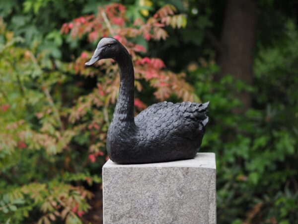 Solid Bronze Mute Swan Sculpture 1 | Avant Garden