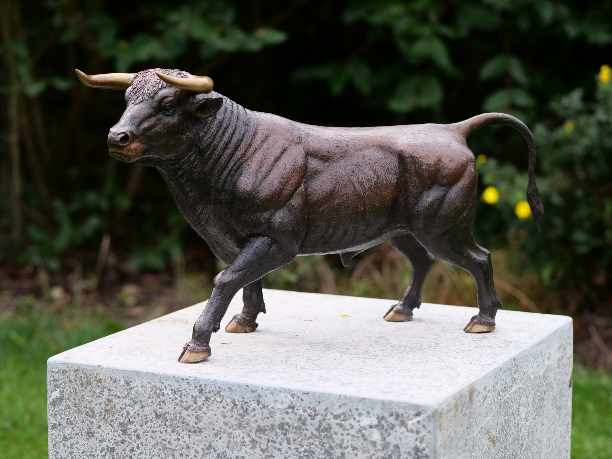 Prize Bull Bronze Animal Sculpture 28cm MI 61 1 | Avant Garden Bronzes